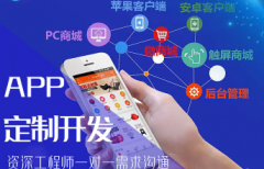 软件开发、H5网页、管理软件、小程序定制开发