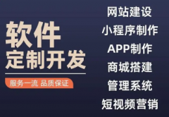 软件定制服务、网站系统开发、APP开发
