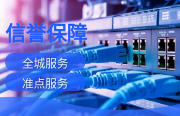 IT运维服务咨询/信息安全咨询